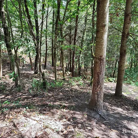 Apartament Donde El Agua Es Vida *