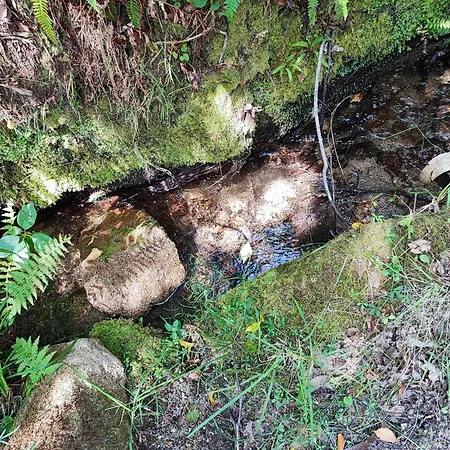 Donde El Agua Es Vida Lägenhet