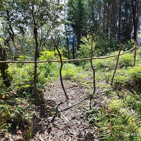 Donde El Agua Es Vida