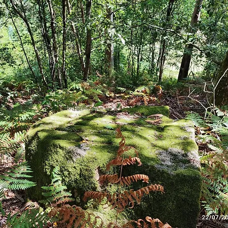 Apartament Donde El Agua Es Vida Mondariz