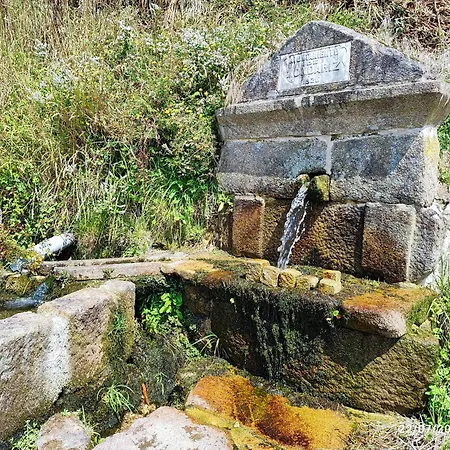 Donde El Agua Es Vida * Mondariz