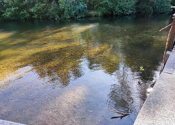 Donde El Agua Es Vida * Mondariz