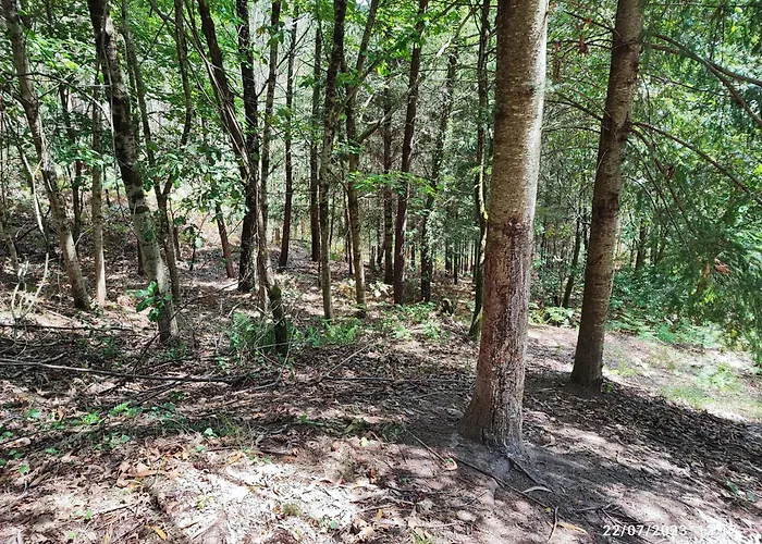 Apartament Donde El Agua Es Vida *