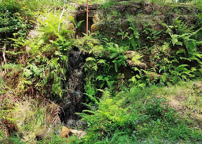 Donde El Agua Es Vida Apartament *