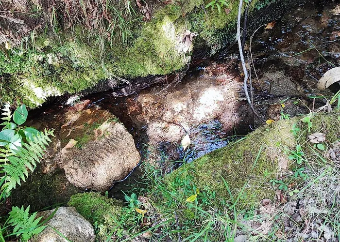 Donde El Agua Es Vida Apartament