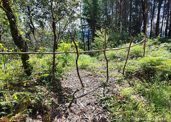 Donde El Agua Es Vida