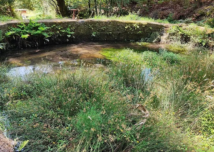 Donde El Agua Es Vida * Mondariz