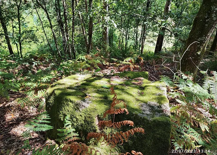 Apartament Donde El Agua Es Vida Mondariz