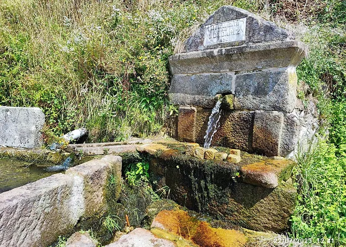 Donde El Agua Es Vida * Mondariz